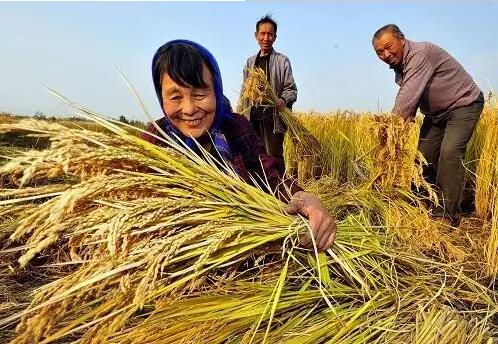 重磅！繼包產(chǎn)到戶之后，我國農(nóng)村又一次迎來重大改革