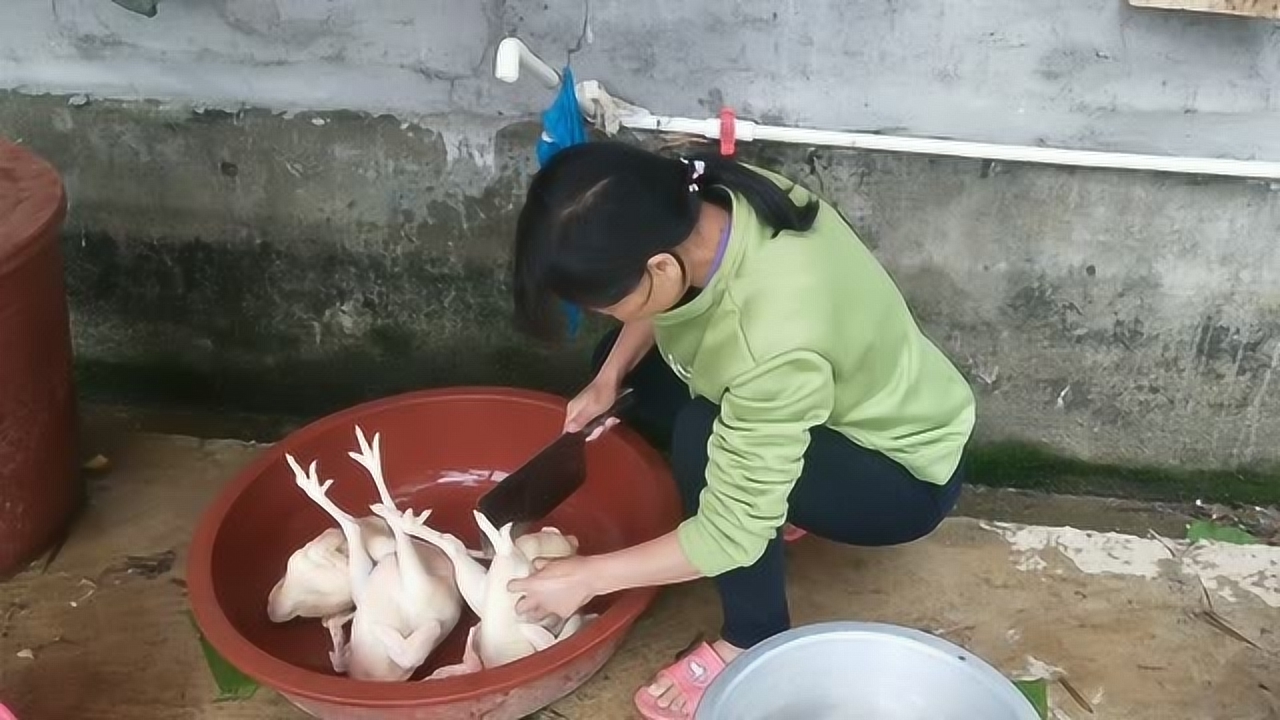 關(guān)于阿梅殺雞視頻的理性分析與網(wǎng)絡(luò)倫理道德探討，警惕涉黃內(nèi)容侵蝕社會倫理底線。