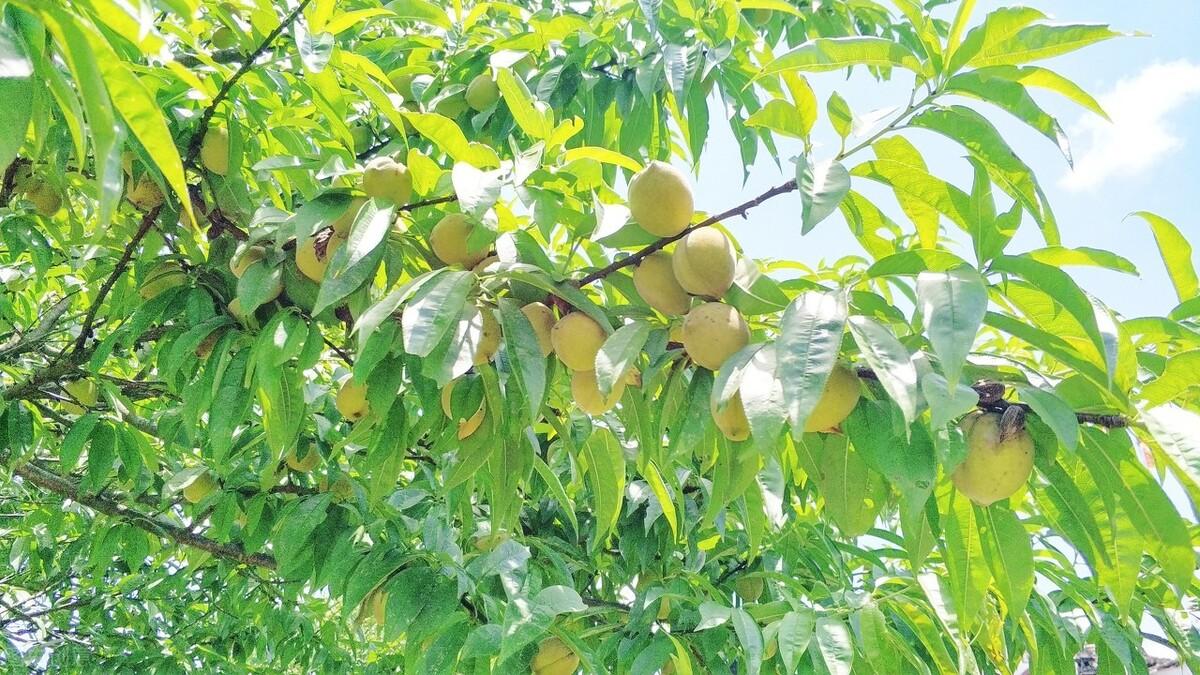 簡(jiǎn)暗最新小說(shuō)揭秘科技新品，智能生活體驗(yàn)新紀(jì)元