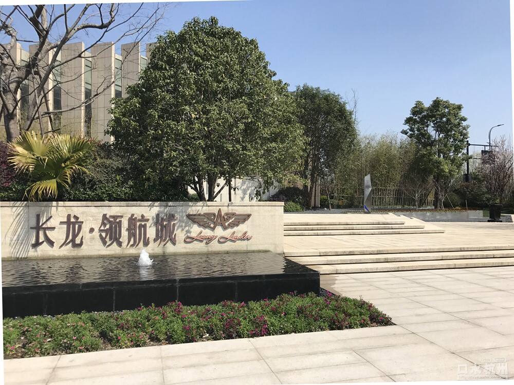 長龍領(lǐng)航最新動態(tài)，駕馭變革，開啟知識海洋的勵志之旅