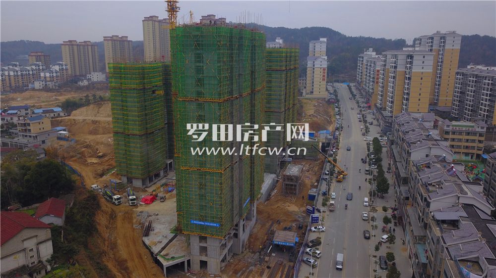 羅田最新房?jī)r(jià)揭秘，洞悉市場(chǎng)動(dòng)態(tài)，掌握房?jī)r(jià)走勢(shì)！