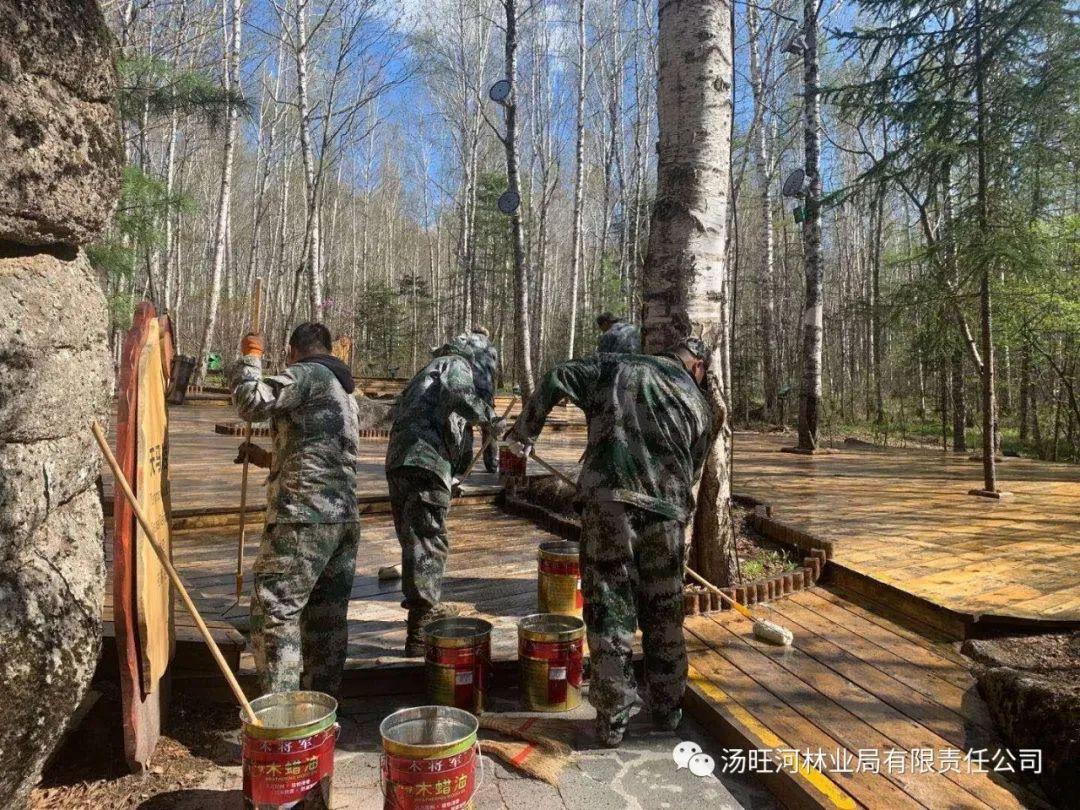 探尋神秘寶石世界的獨(dú)特魅力，最新奇石新聞報(bào)道