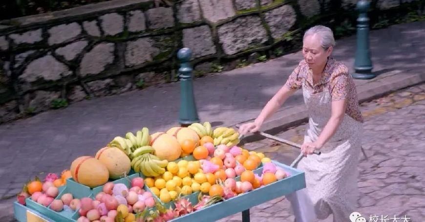 澳門水果奶奶8487資料圖,科學(xué)解說(shuō)指法律_GPY27.692Phablet