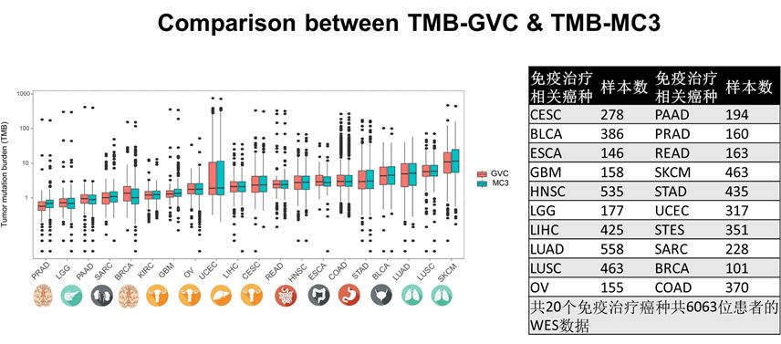 王中王375959cm開獎結果,數(shù)據(jù)驅動決策_SLF27.152融合版