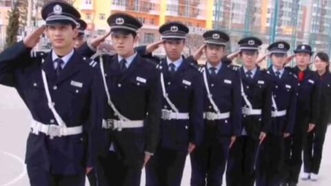 寧國(guó)最新保安招聘及其探討，行業(yè)現(xiàn)狀與發(fā)展趨勢(shì)分析