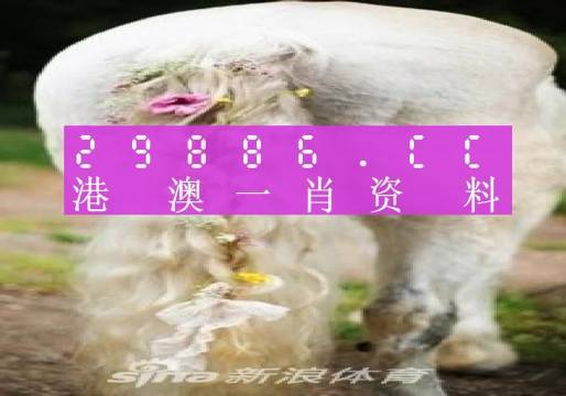 澳門(mén)四不像精準(zhǔn)一肖一碼,數(shù)據(jù)分析計(jì)劃_UVR10.888智慧版