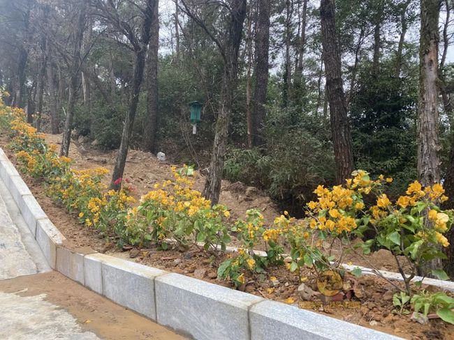 桂平手工,傳統(tǒng)與創(chuàng)新的完美交融