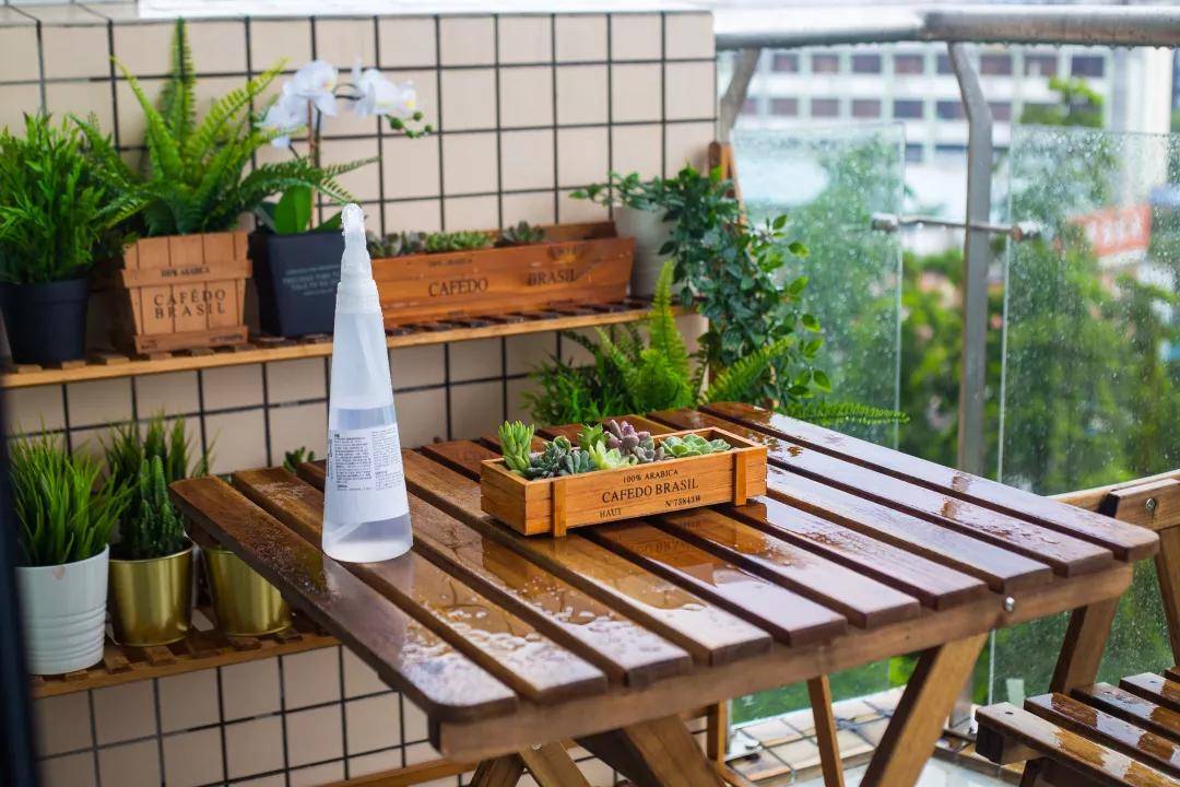 澳門今晚上必開(kāi)一肖,快速解答方案設(shè)計(jì)_BBH10.637曝光版