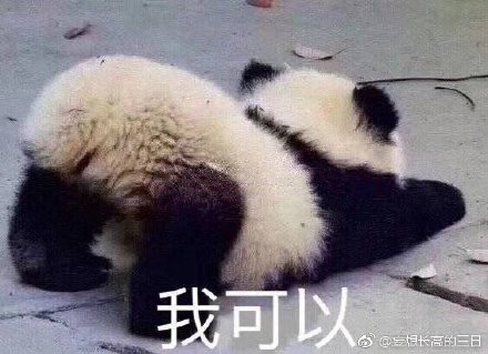 今晚四不像必中一肖圖118,全身心解答具體_WTF83.578專業(yè)版