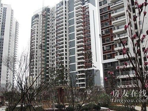 綠地長島公寓最新價格揭秘，小巷深處的隱藏寶藏