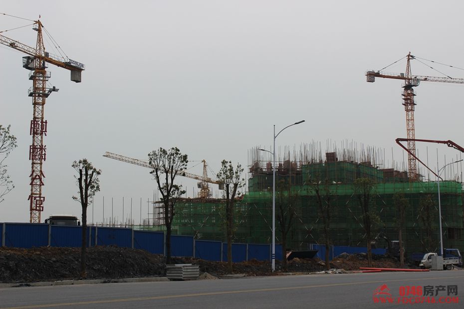 池州麒麟公館最新動態(tài)揭秘，最新進展與資訊更新