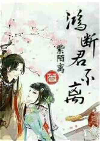 沈南汐最新小說，知識的力量，成就夢想的翅膀之路