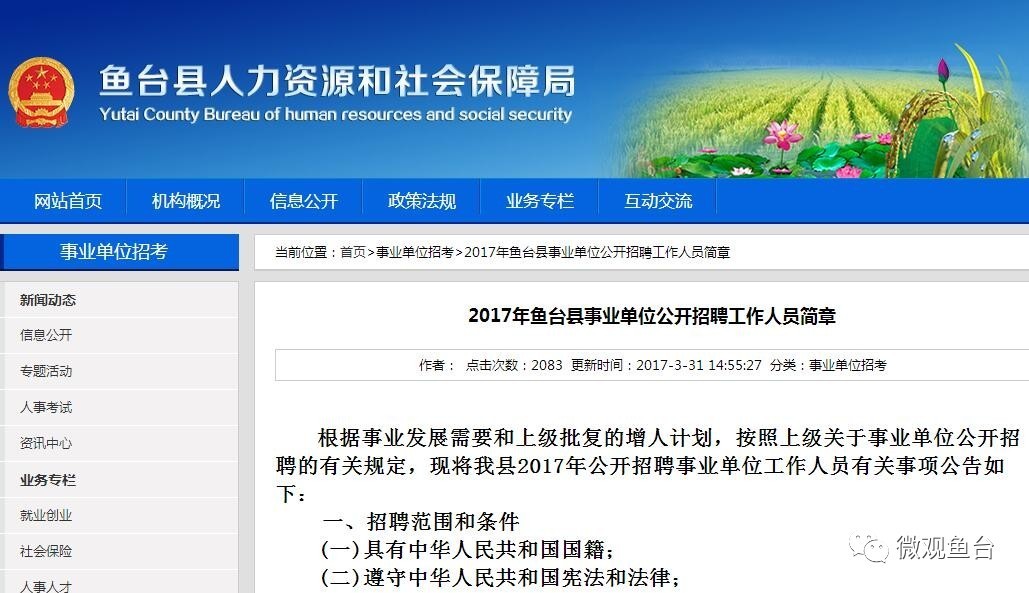 魚(yú)臺(tái)最新招聘信息大全，求職步驟指南與招聘信息更新速遞