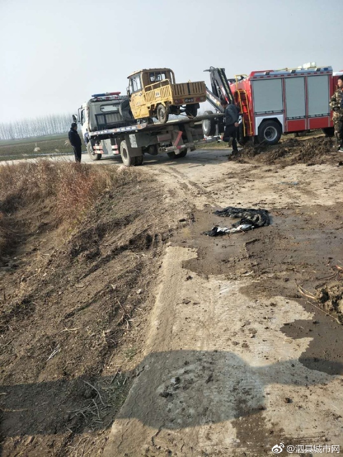 泗縣車禍悲劇，警醒與深思背后的最新新聞報(bào)道