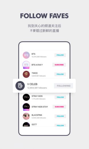VAPP最新版下載，觀點(diǎn)論述與獲取渠道