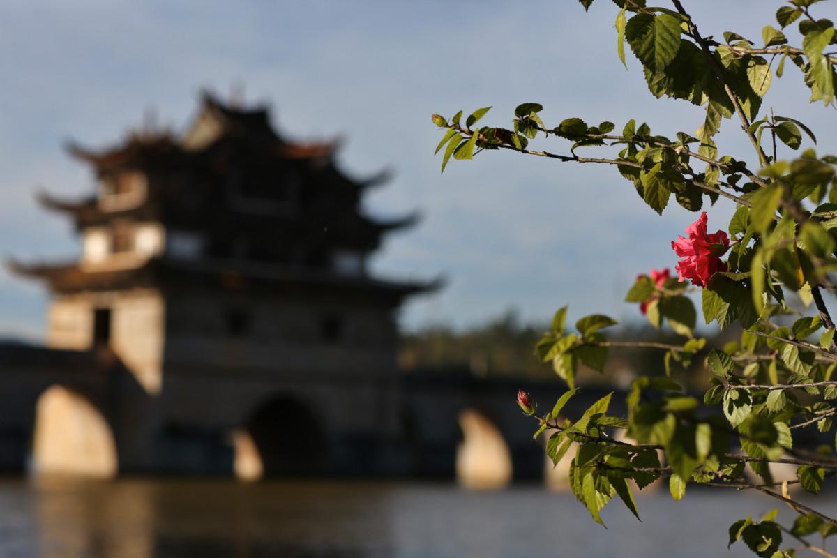 大冰最新力作，智能生活新紀(jì)元——科技與生活的完美融合