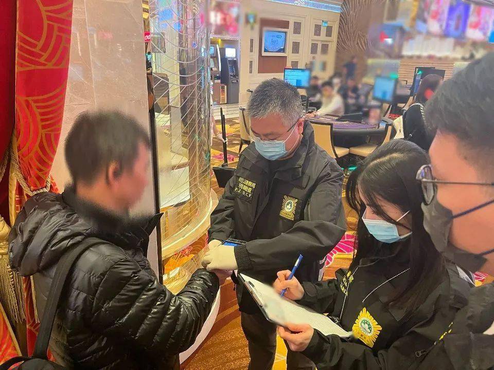 新澳門一肖一碼精準(zhǔn)資料公開,社會承擔(dān)實踐戰(zhàn)略_XRF83.344旅行助手版