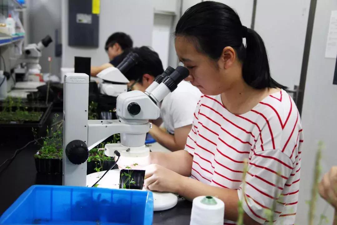 最新學科評估,最新學科評估引領科技革新——未來生活觸手可及的高科技產(chǎn)品介紹