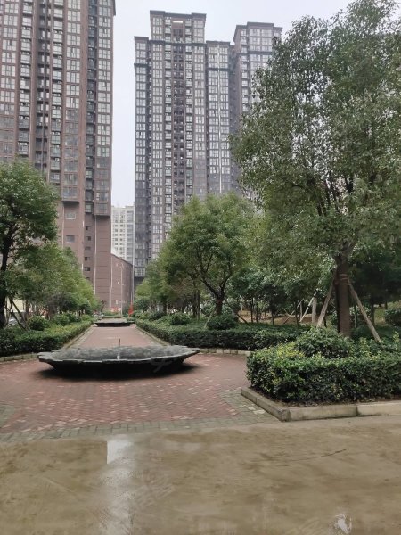 南陽盛世御苑最新動(dòng)態(tài)揭秘，全面指南與步驟詳解