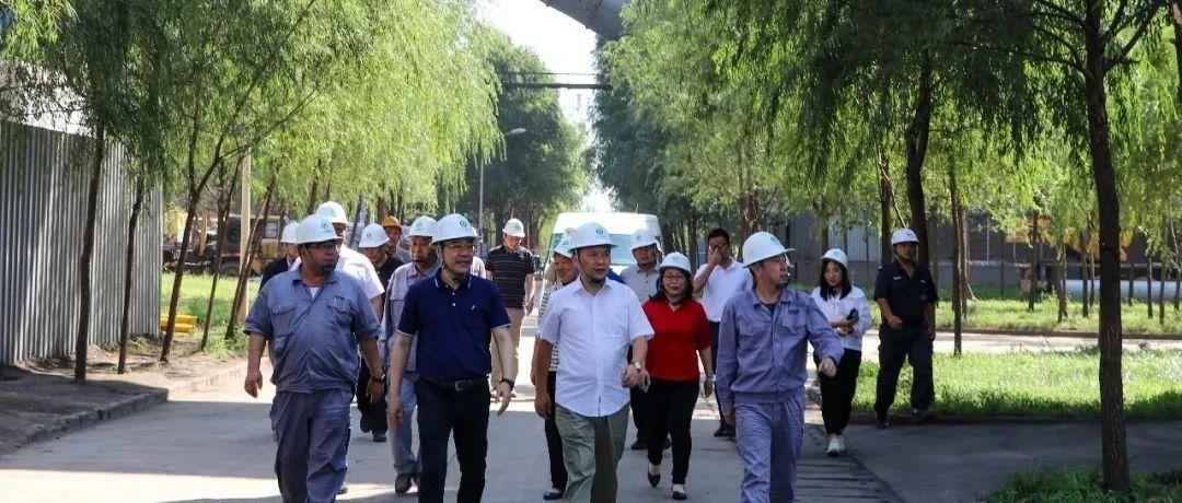 最新鍋爐工招聘信息揭秘，鍋爐工的溫馨日常故事探索