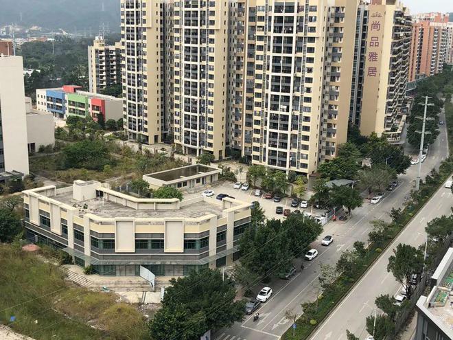 膠南山水雅居最新動(dòng)態(tài)，鄰里日常趣事與情感紐帶分享