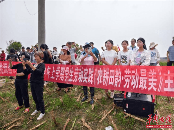 桃源木塘垸鄉(xiāng)新動(dòng)態(tài)，趣事連連，真摯友情綻放鄉(xiāng)間