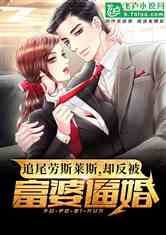 運(yùn)動(dòng)場館燈具 第236頁