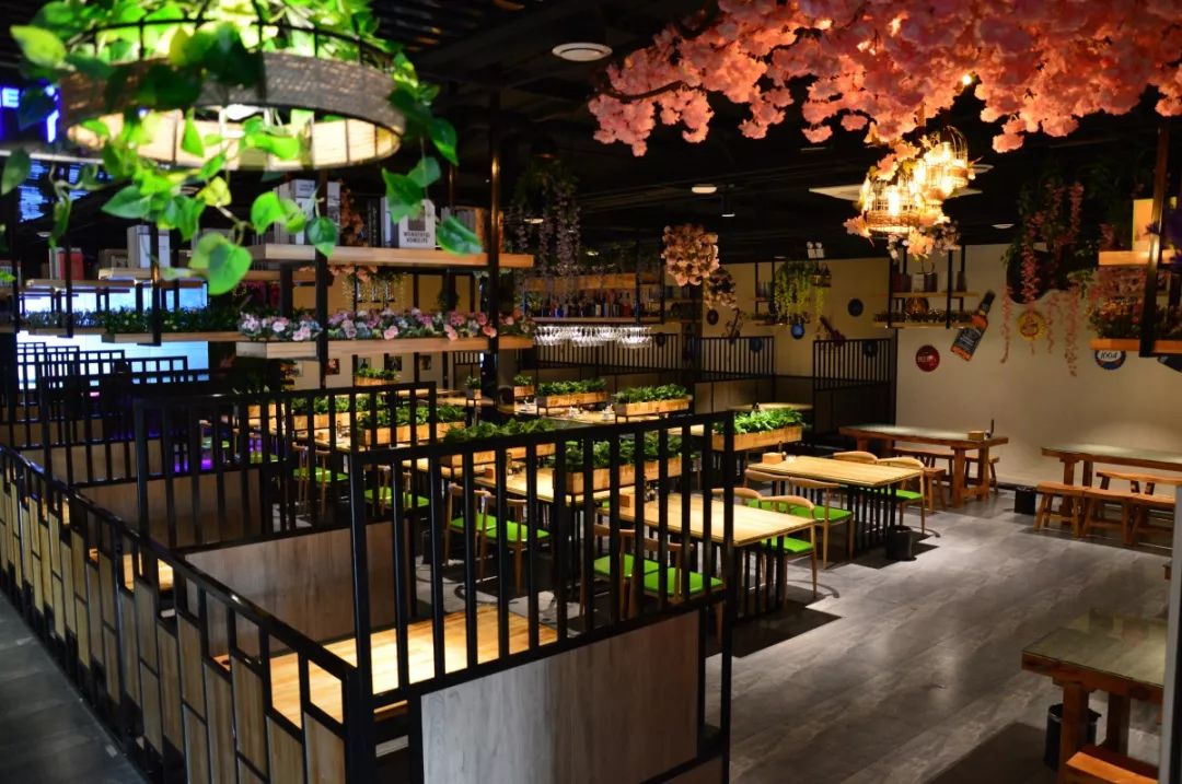 中餐廳最新一期音樂，熱門旋律與節(jié)目魅力的完美交融