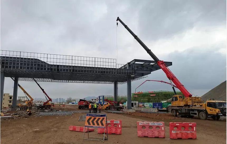 深度解析與探討，最新元龍劇情分析