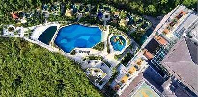 泉最新官網(wǎng)深度解析，探討、觀點與立場分析