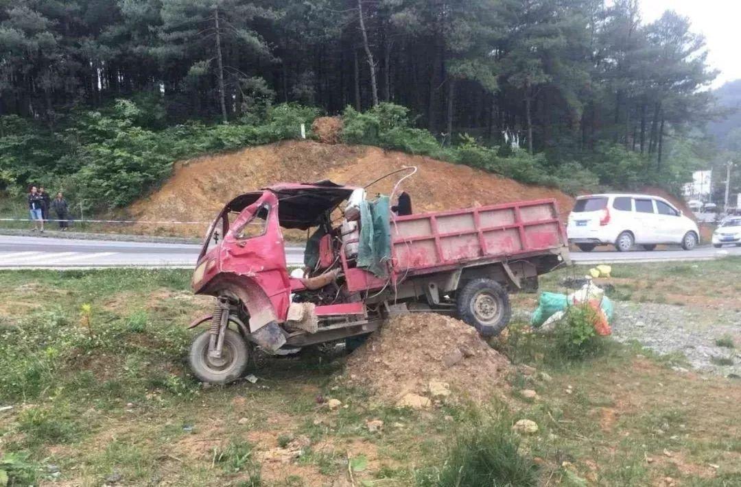 平山事故背后的溫馨故事，友情、愛與陪伴的奇遇