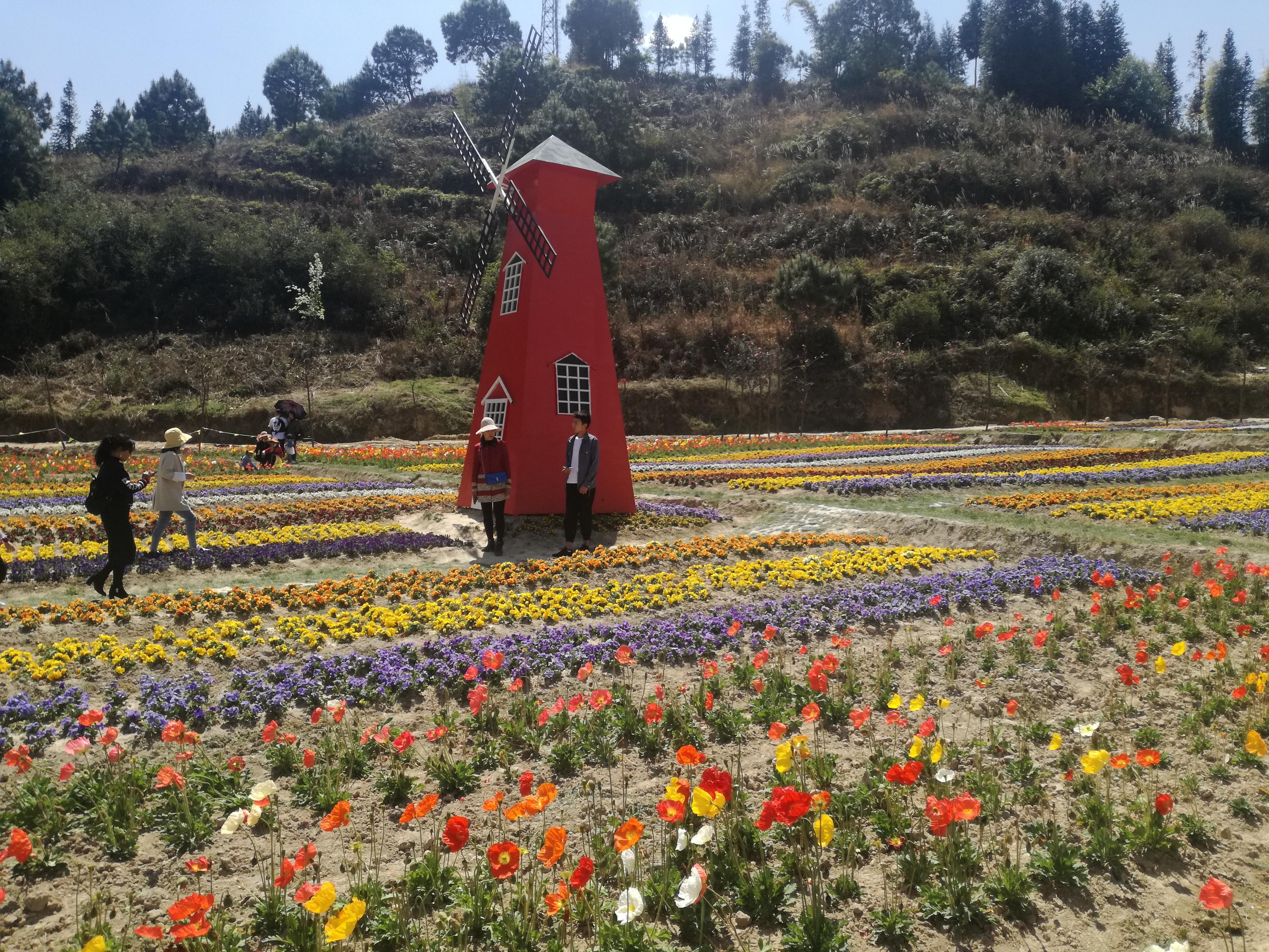 臨滄市最新探索，自然美景之旅，尋找內(nèi)心平和的旅程