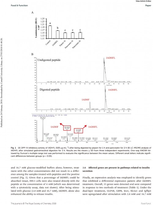 糖肽最新文獻(xiàn)，自然之旅的心靈探尋之旅，尋找內(nèi)心的寧?kù)o