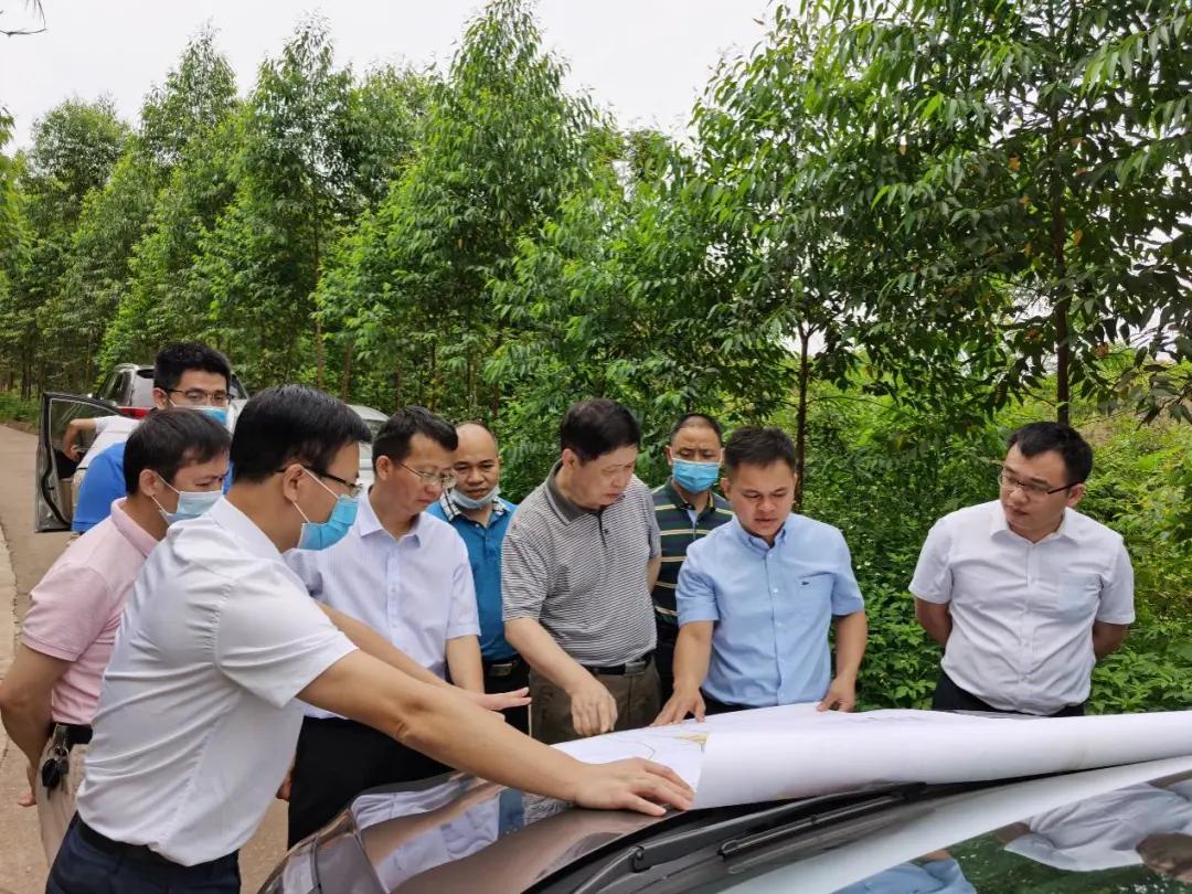 南寧龍象谷最新資訊，游玩指南與技能學(xué)習(xí)步驟全解析