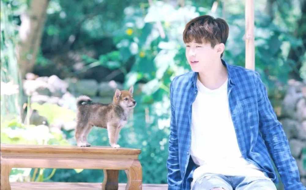 夏雪黃磊攜手演繹別樣精彩人生，新作品震撼來(lái)襲！???