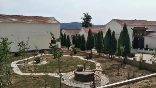 上莊最新動(dòng)態(tài)，綠意盎然的新居生活????