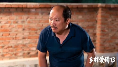 當(dāng)代鄉(xiāng)土風(fēng)情歡樂呈現(xiàn)，最新鄉(xiāng)村喜劇劇集