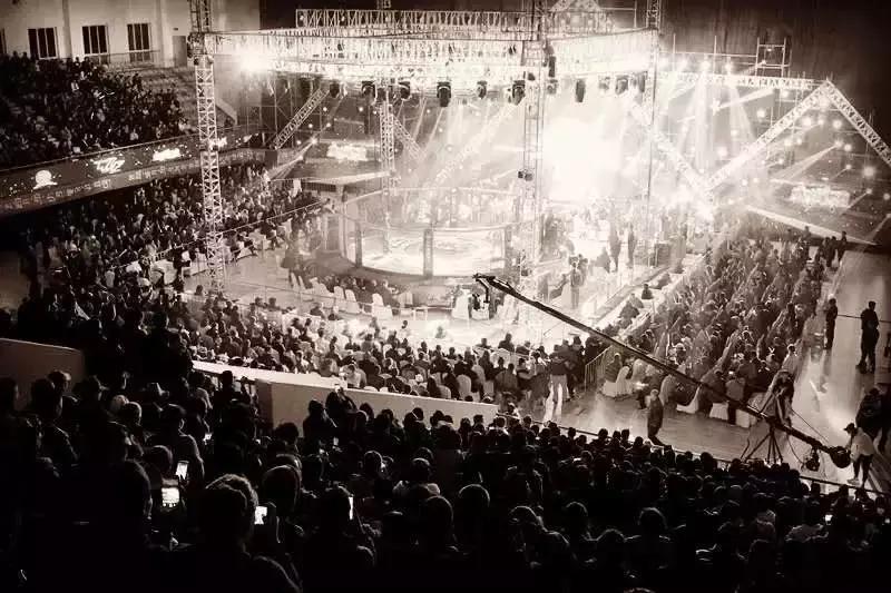 武林籠中對最新一期，自然美景中的對決與內心平靜之旅