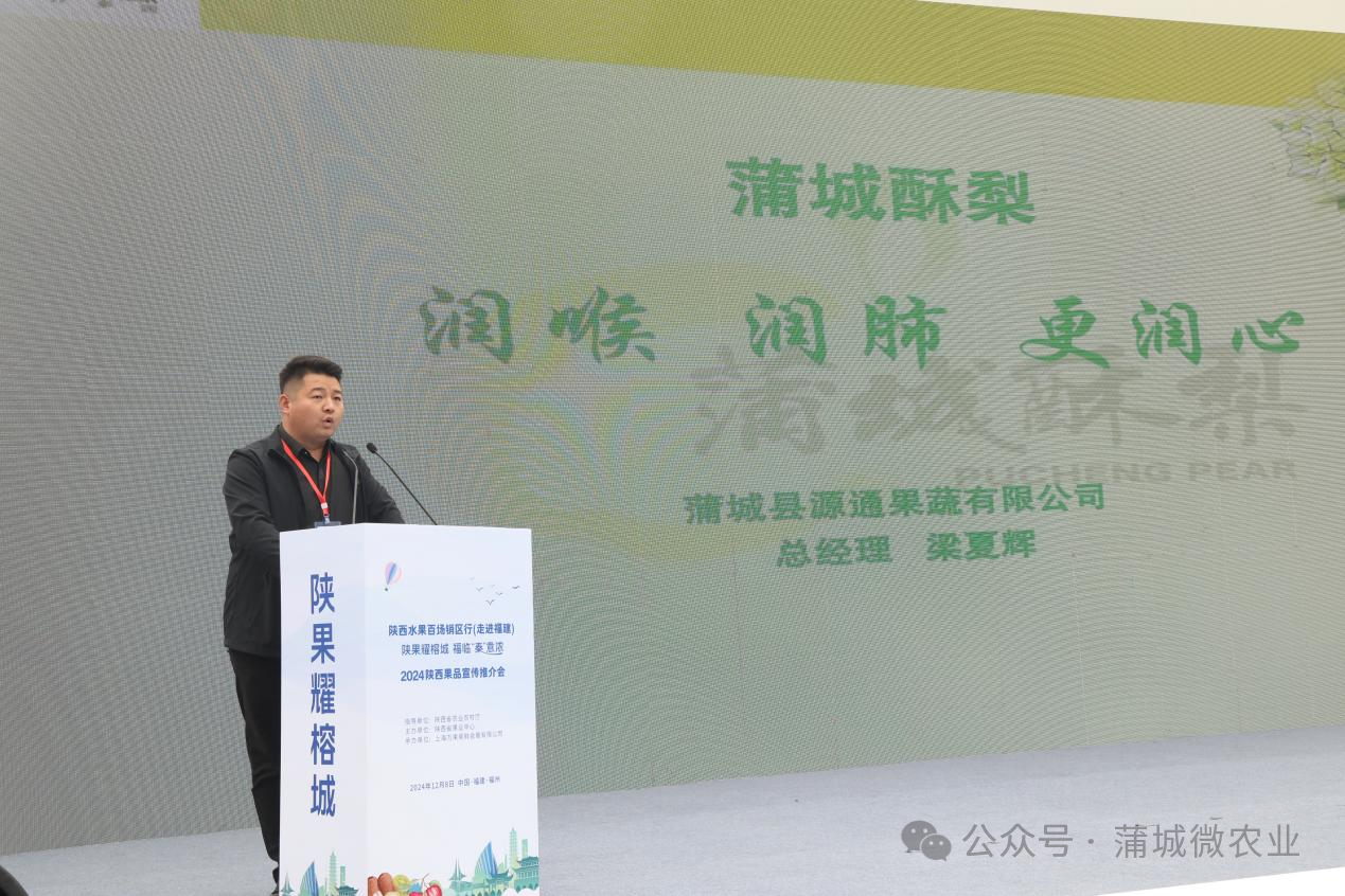 梨城資訊速遞，探索梨城新動態(tài)與發(fā)展趨勢