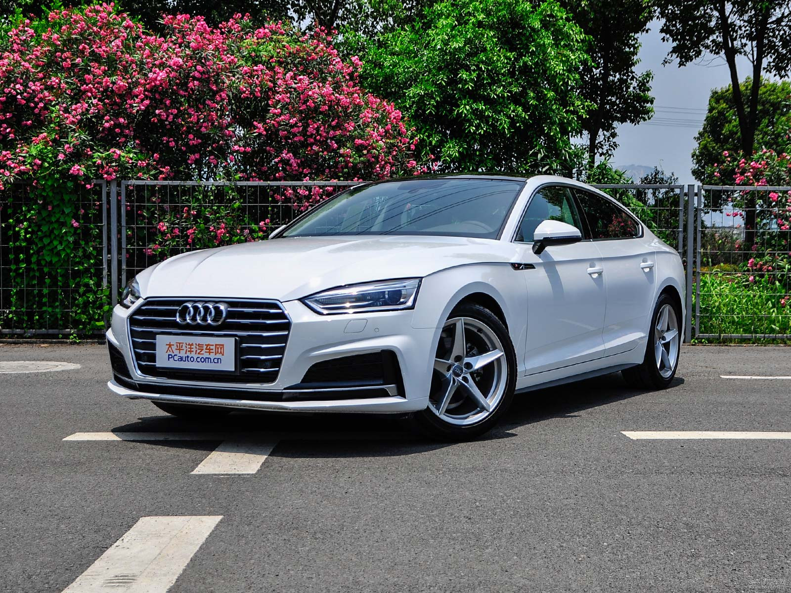 新款?yuàn)W迪A5價(jià)格及圖片，自然美景探索之旅的絕佳選擇