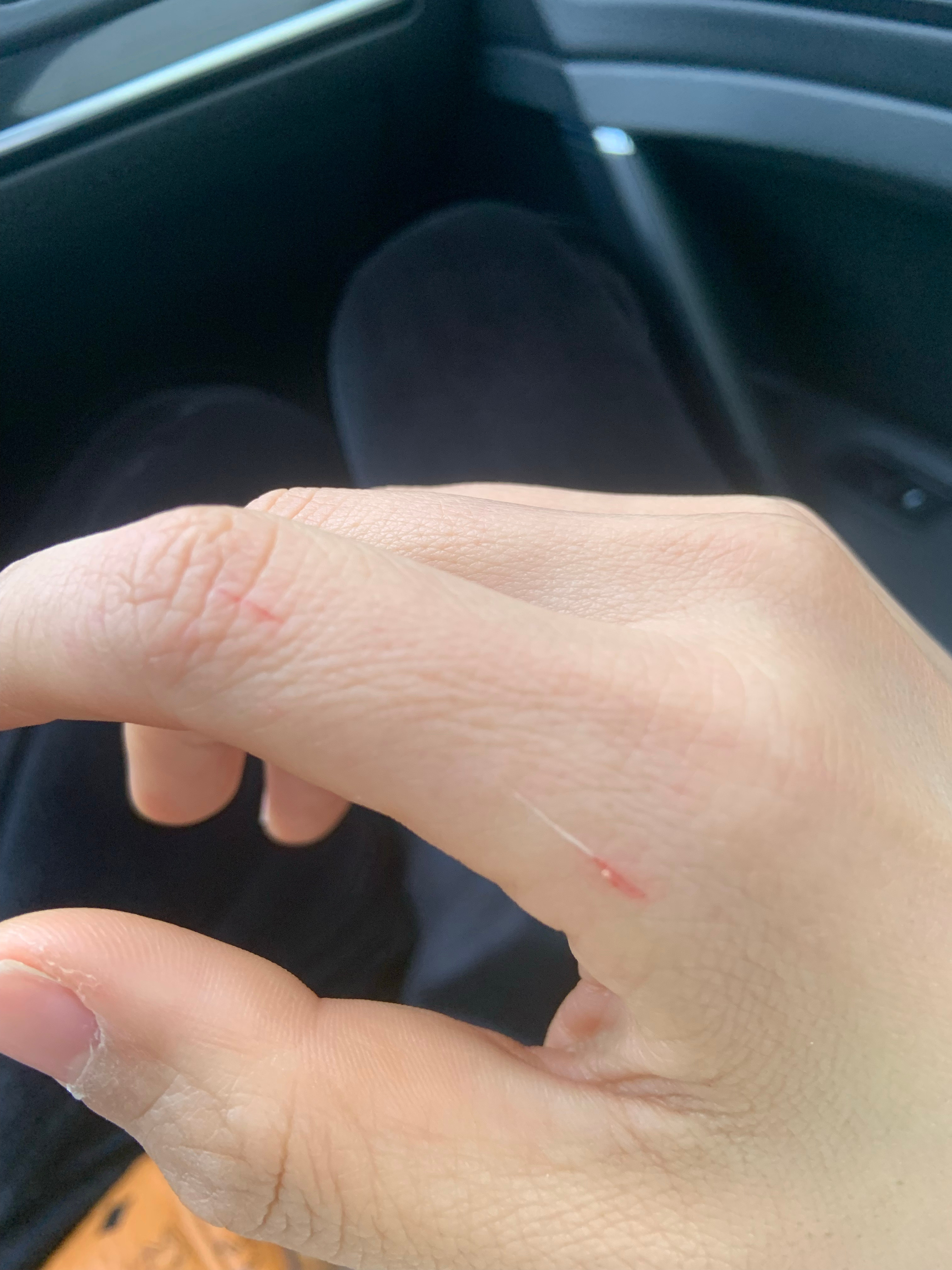 最新口子，開啟學(xué)習(xí)之旅，擁抱變化的力量