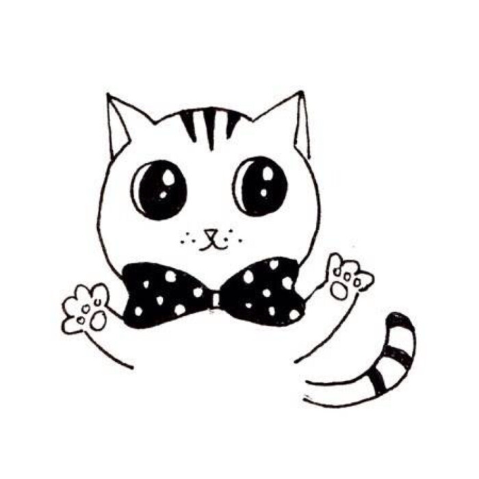 喵咪動漫，初學(xué)者與進(jìn)階用戶的技能學(xué)習(xí)指南