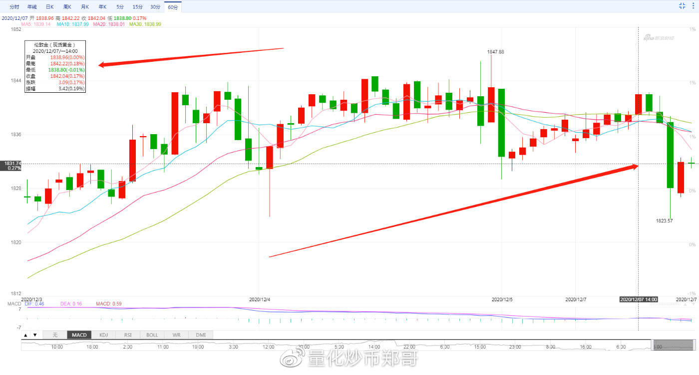 外匯今日行情，市場波動(dòng)與溫馨故事交織的旅程