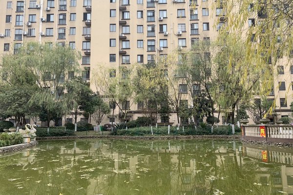 中豪明珠城最新價(jià)格，時(shí)代印記與城市的脈動(dòng)