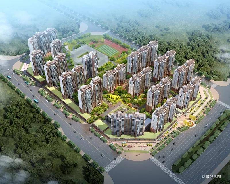 河源葉振云最新動(dòng)態(tài)揭秘