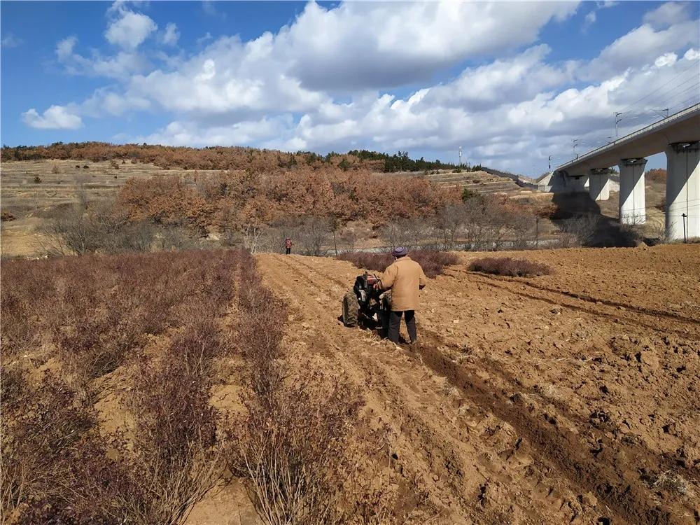 揭秘衡陽張家山規(guī)劃更新，小巷風(fēng)情與隱藏小店的獨特魅力