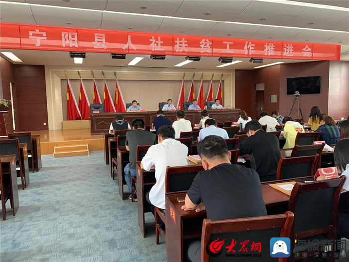 寧陽網(wǎng)最新資訊，城市中的溫情日常