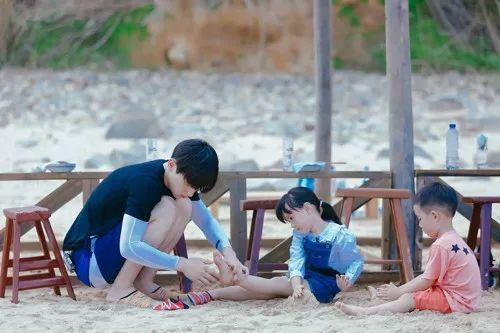 最新TV版資訊深度剖析，電視劇熱潮的影響力與影響