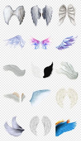 動漫翅膀繪制指南，從白紙起步，繪出飛翔的勵志翅膀！