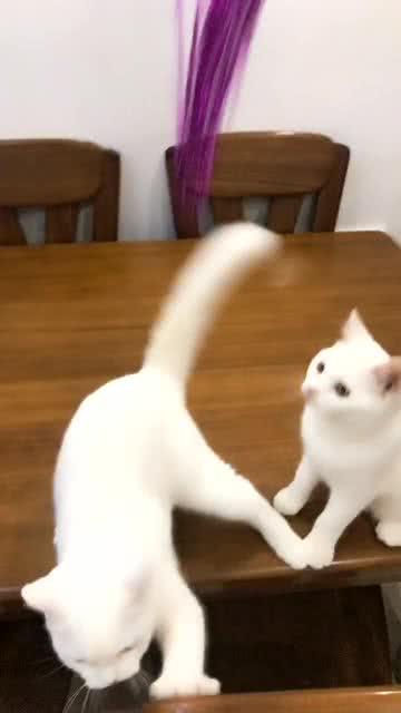 運動場館燈具 第193頁